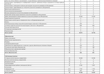 ТОО «Ломбард «Экспресс-2020»  годовой отчет 1