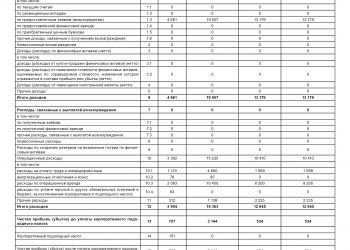 ТОО «Ломбард «Экспресс-2020»  годовой отчет 2
