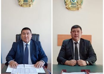 Мемлекеттік кірістер басқармасына жаңа басшы тағайындалды