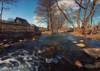 Қазығұрт ауданында нөсер жауын салдарынан бес ауылды су басты