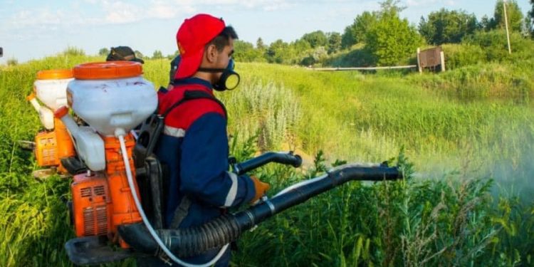 Арыста шіркейді залалсыздандыру жұмыстары қолға алынды