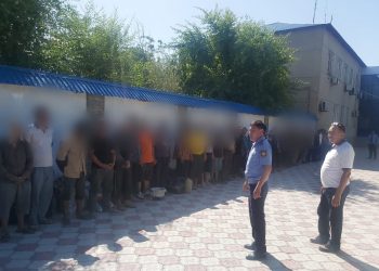 Түркістан облысында кеурек өсімдігін қазушылар азаймай тұр