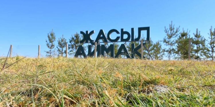 Түркістан  қаласындағы жасыл желектердің өнімділігі 65% жетті