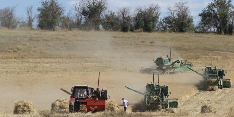 Экономиканың дамуына ауыл шаруашылығының да үлесі мол