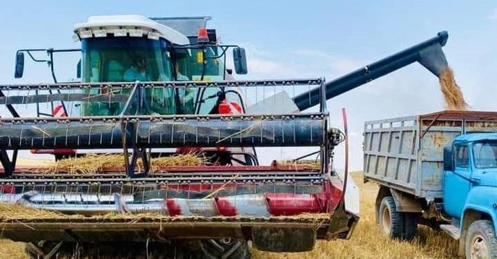 Түркістан облысында астық ору науқаны қарқынды жүріп жатыр