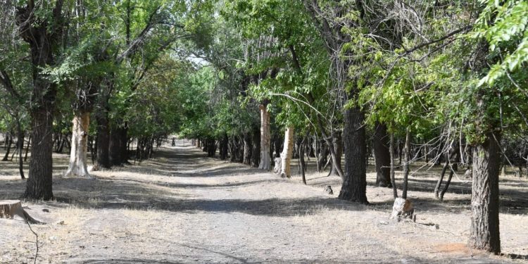 Облыстық бюджеттен Кентау қаласын дамытуға 1,3 млрд. теңге қаржы бөлінеді