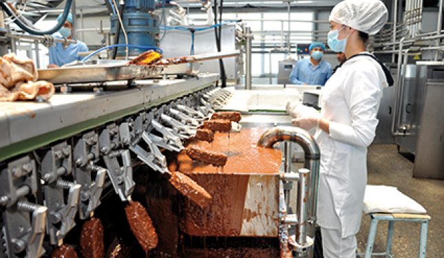 Төлебиде  өндірілетін балмұздақтар – ел мақтанышына айналып отыр