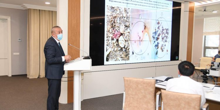 Түркістанда  қырым қанды безгегін қоздырушы кенемен күрес шаралары күшейтіледі