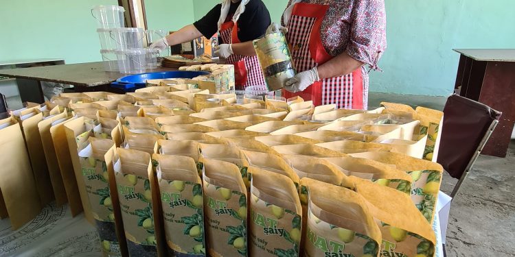 Төлебилік түрғын шәй шығарып, экономиканың дамуына үлесін қосып отыр