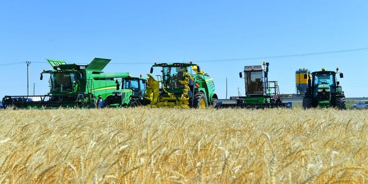 Түркістан облысында ауыл шаруашылығы өнімінің көлемі артты