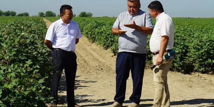 Өнім көлемін арттыруда жаңа технологияны пайдаланудың маңызы зор