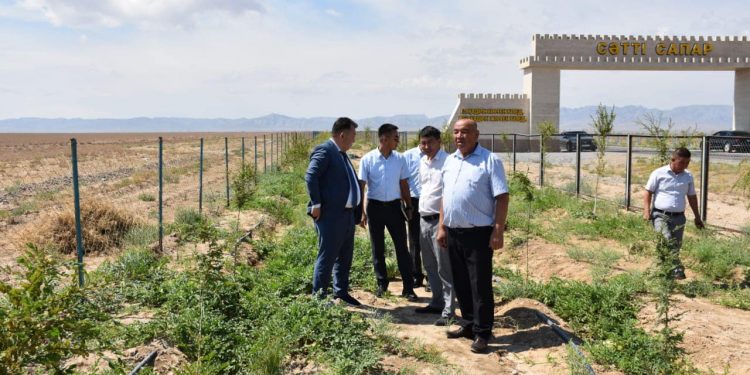 Созақтағы «Жасыл белдеу» аймағында қауын, қарбыз да өседі