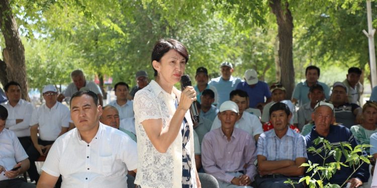 Жиделіде жайылымдық жер 1 мың гектарға кеңейді