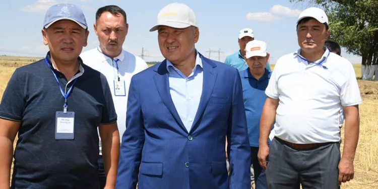 Түркістан облысында астық ору науқаны аяқталуға жақын