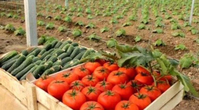 Мақтааралдықтар  бір алқаптан екі өнім алып жатыр