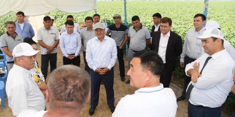 Жетісайдың инфрақұрылымы жақсарып келеді