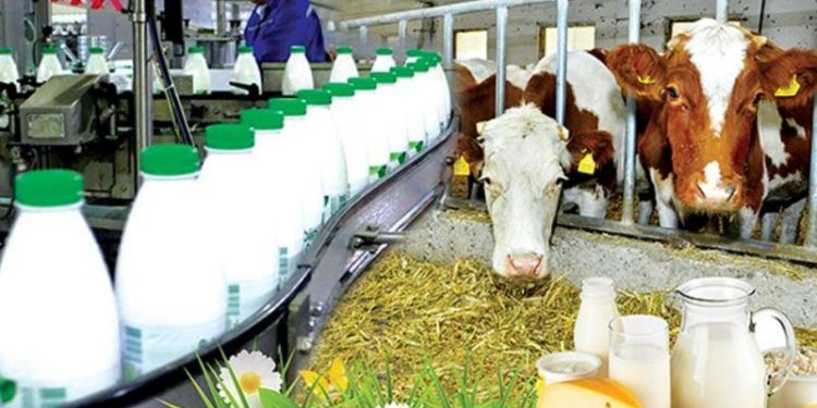 Түркістанның өндірістік әлеуеті артып, өнеркәсібін жанданып келеді