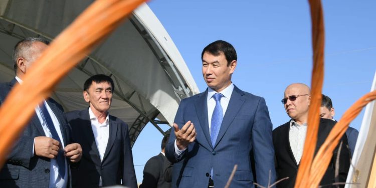 Келестегі кәсіпорында жылыжай шаруашылығына қажетті заттар шығарылады