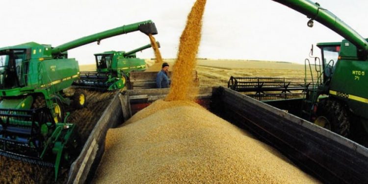 Азық-түлік тапшылығымен күресте қазақстанның әлеуеті зор – Президент