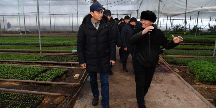 Дархан Сатыбалды: «Ауыл шаруашылығын әртараптандыруға күш салу керек»