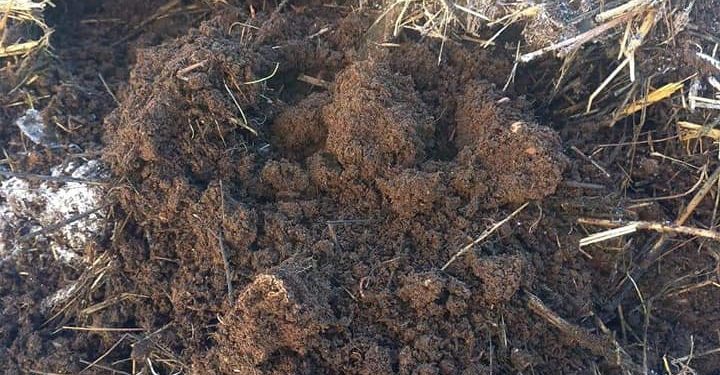 Қазығұртта табиғи тыңайтқыш өндіру дамып келеді