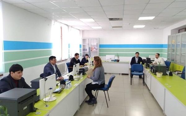 Түлкібас ауданында 66 жоба сүйемелденіп, қаржыландырылды