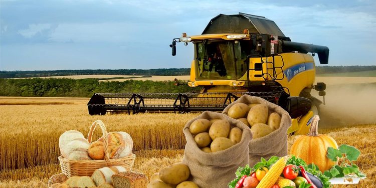 Келес ауданында 510 мың тонна ауыл шаруашылығы өнімі өндірілді