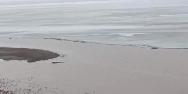 Созақта тасқын су қызылкөлдің арнасын толтырып, тұрғындарды қуантты