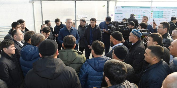 Серік Жұманғарин Түркістан облысының жылыжай иелерімен кездесті