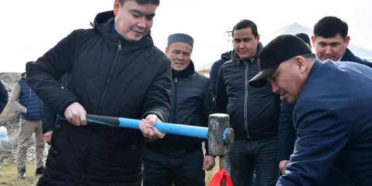 Ордабасыда 40 мың бас ірі қара малды бордақылауға арналған кешеннің қазығы қағылды