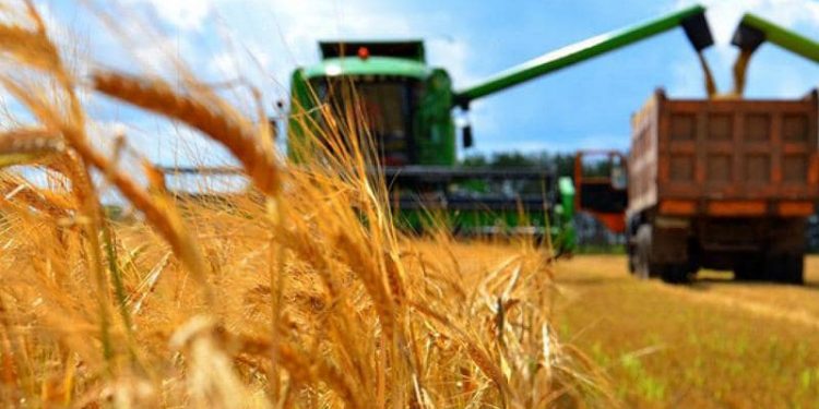 Түркістан облысында ауыл шаруашылығы өнімінің көлемі 1,3 трлн теңгеге жеткен