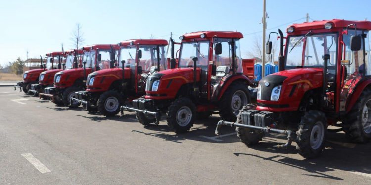 Түркістанда күтіп-баптау нысандарының көлемі 100 гектарға артты