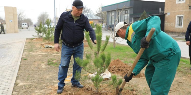 Түркістан облысында «Наурыз — тазалықтың айнасы» атауымен сенбілік өтті