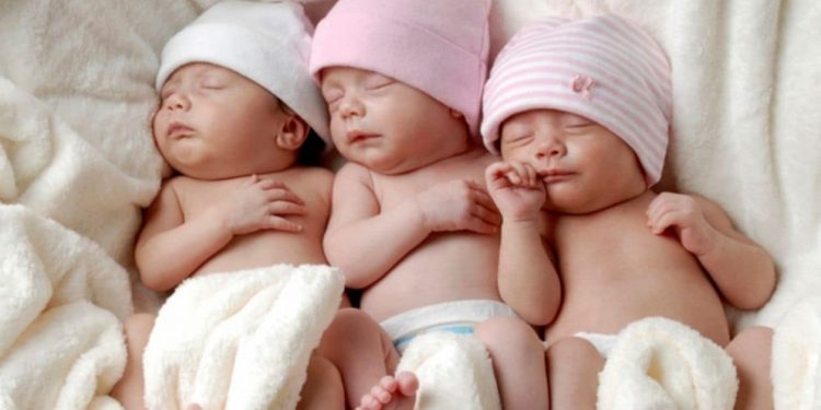 Түркістан облысында үшем дүниеге келді