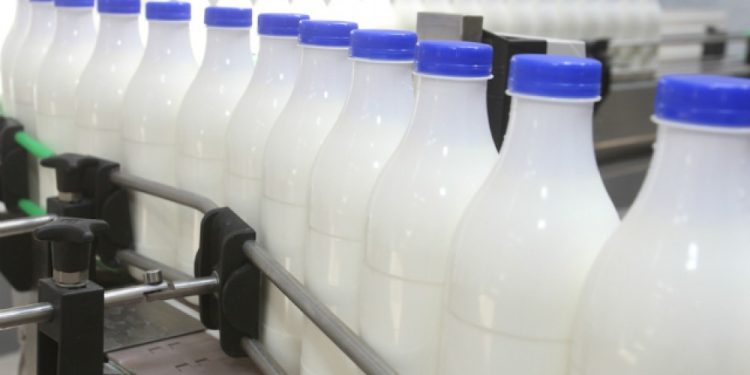 Түркістан облысында 4 сүт фермасы іске қосылады