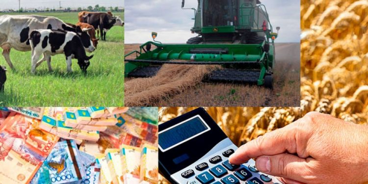 Төлеби ауданында биыл 109,8 гектар алқаптан 2-3 рет өнім алу жоспарланып отыр