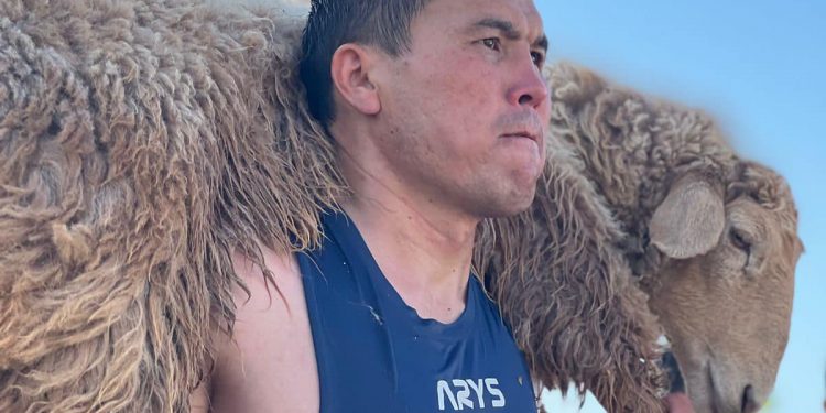 Арыстық азамат қошқар көтеруден рекорд жаңартты