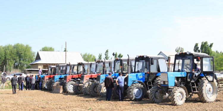 Мақтааралда 33 мың гектар жерге мақта егілді