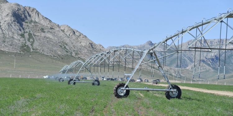 Түркістан облысында ортақ жайылым көлемі 1 миллион гектарға ұлғайтылады