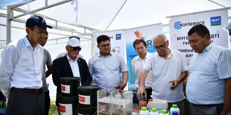 Кәсіпкерлікті қолдау мақсатында «Агро кеңес беру орталығы» ашылды