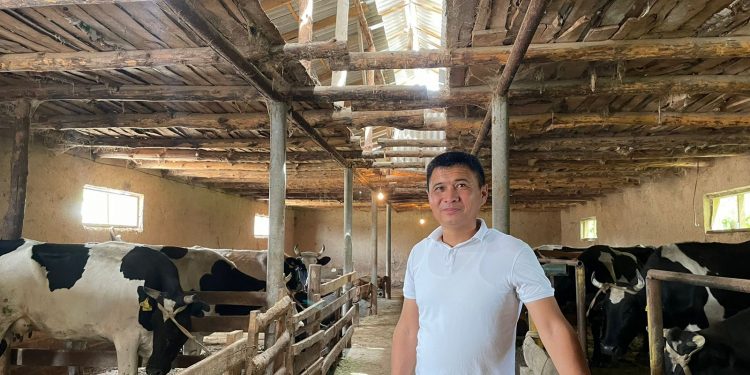 Түркістан өңірінің тұрғындары 2,5 пайызбен несие алып, кәсібін бастап кетті