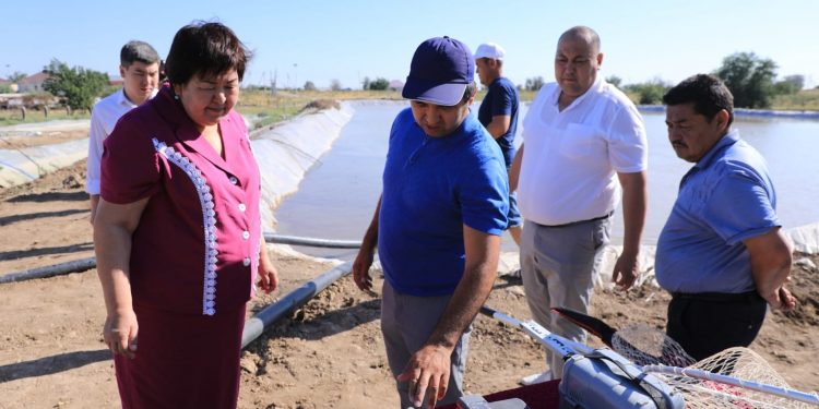 Арыстағы балық өсіретін шаруашылықтың жұмысы жанданып келеді