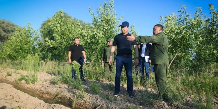 Дархан Сатыбалды Түркістан маңындағы жасыл алқапты аралап, атқарылған жұмыстармен танысты