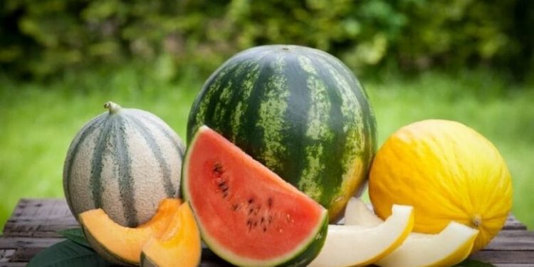 Жетісайлық шаруалар өз өнімдерін делдалсыз саудаламақ