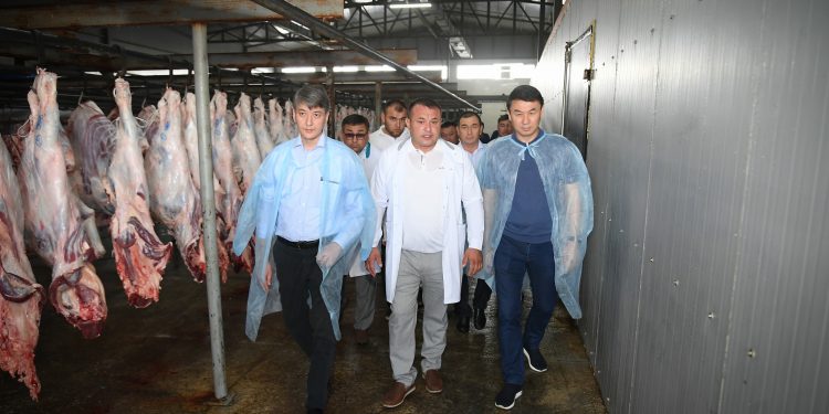 Сайрам ауданында мал қалдықтарын терең өңдейтін зауыттар салынады