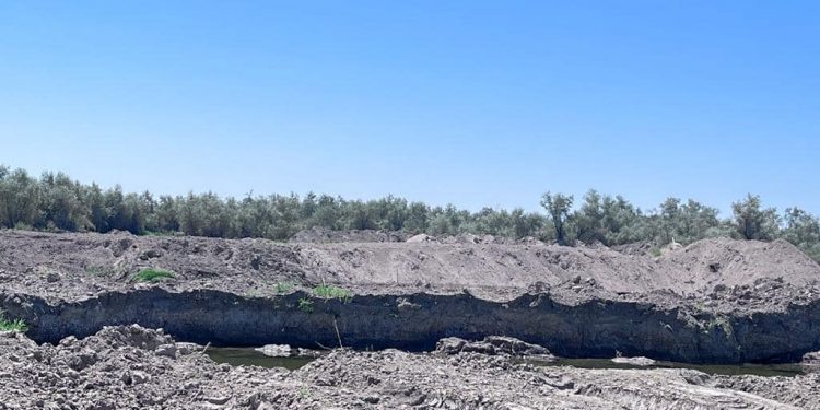 Түркістан облысында заңсыз құм карьерлерінің жұмысы тоқтатылды