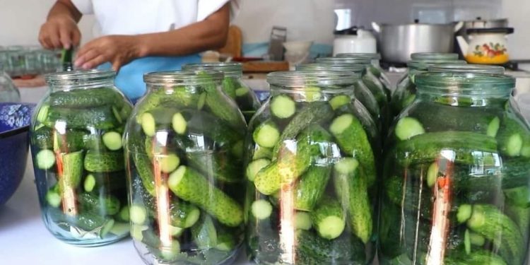 Түлкібастық кәсіпкер тәулігіне 200 банка көкөніс консервілеп, сатылымға шығарады