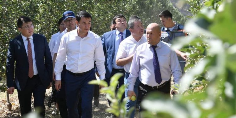 Қазығұрт ауданында шағын және орта бизнес саны 3 жылда 60 пайызға артқан.