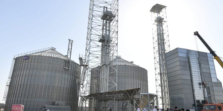 Шардарадағы зауыт жүгері қабылдауға дайын