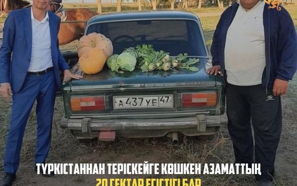Түркістаннан теріскейге көшкен азаматтың 20 гектар егістігі бар